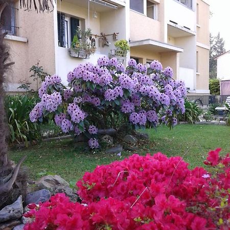 Les Floralies Bis Apartment Pau Exterior photo