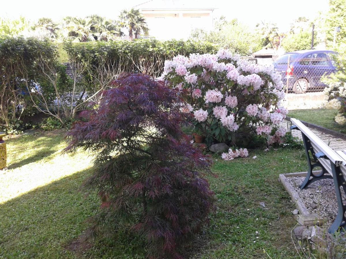 Les Floralies Bis Apartment Pau Exterior photo